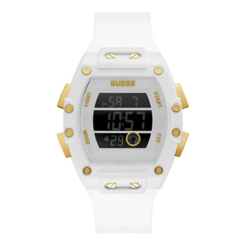 GW0340G1.jpg